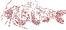 Big Muddy - 2006
