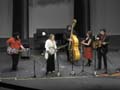 Martin Family Band